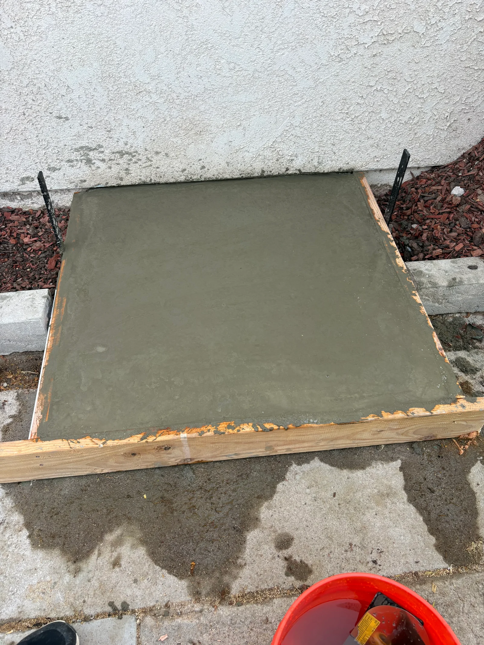 Freshly poured concrete slab inside wood forms against a stucco wall, with metal stakes and mulch beds